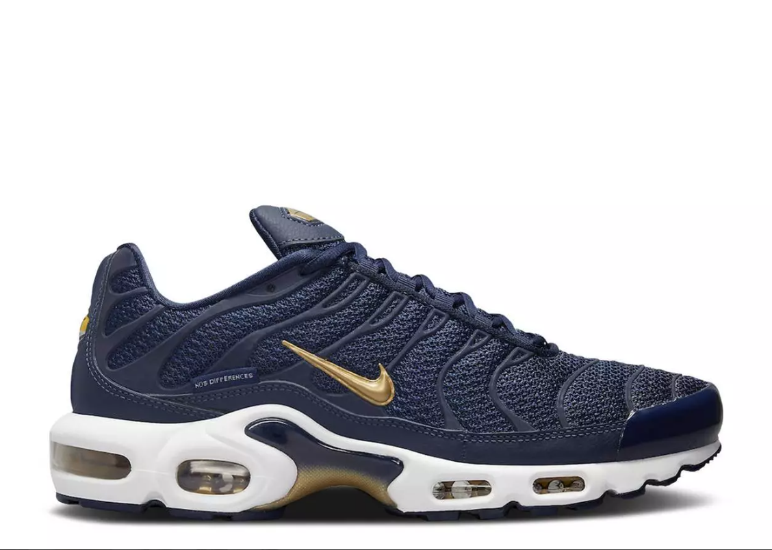 Nike Air Max Plus French Football Federation