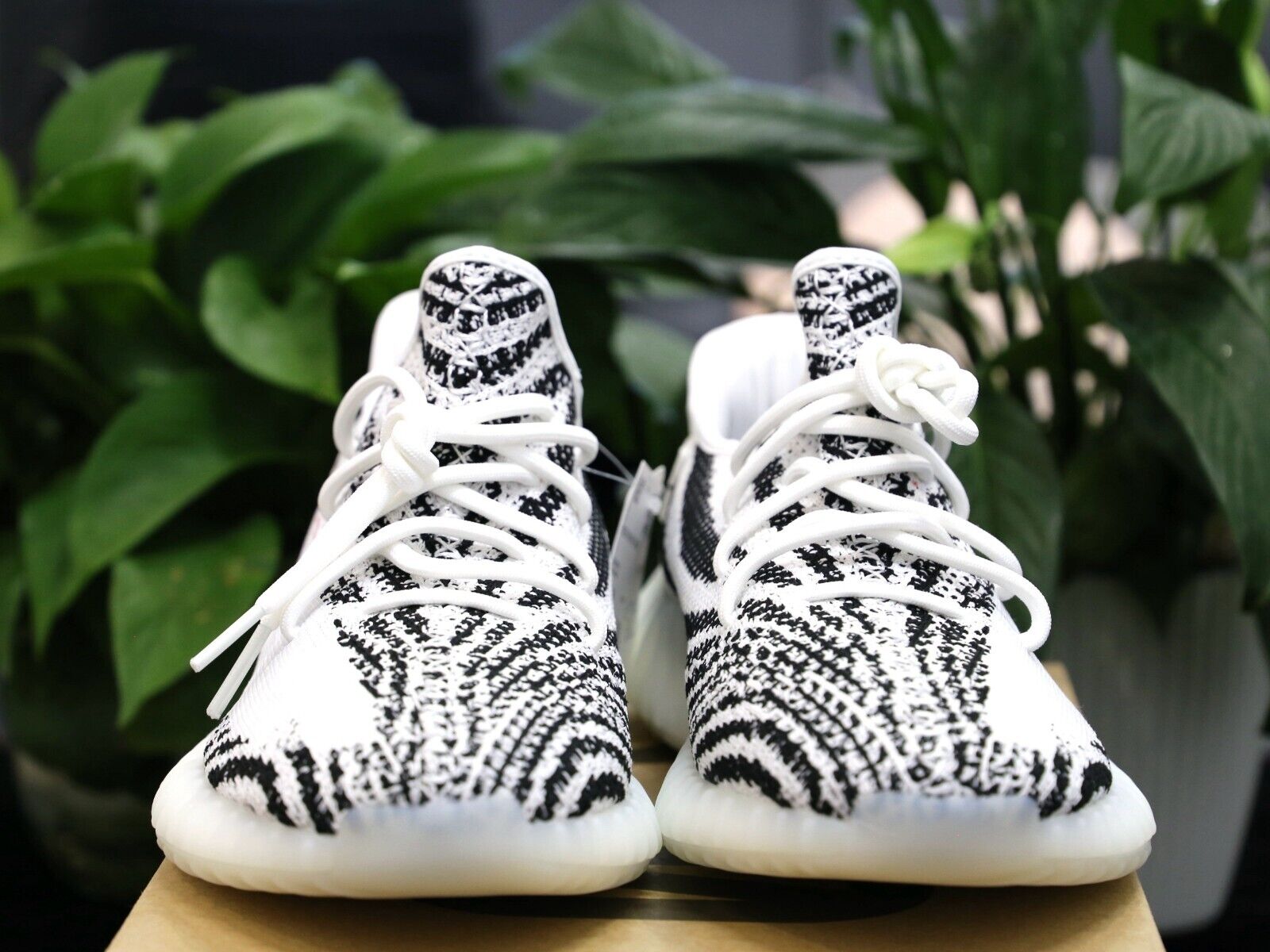 Adidas Yeezy 350 V2 Zebra